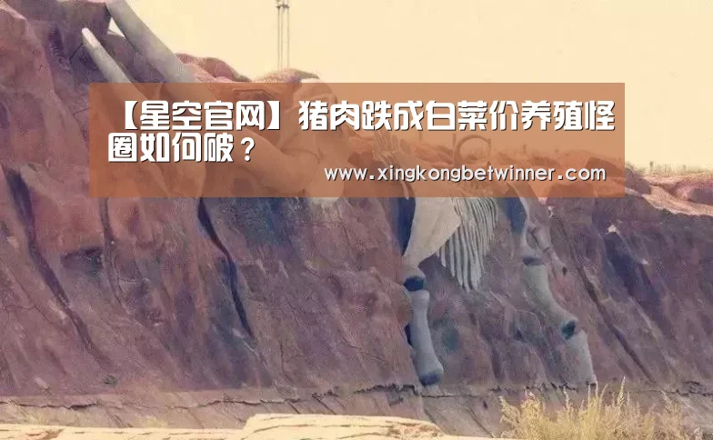 【星空官网】猪肉跌成白菜价养殖怪圈如何破?(图1) 星空下载