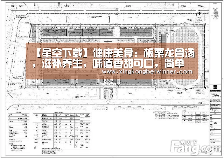 【星空下载】健康美食:板栗龙骨汤,滋补养生,味道香甜可口,简单做法(图1) 星空体育
