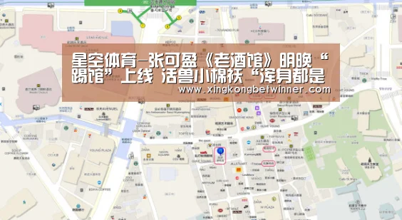 星空体育-张可盈《老酒馆》明晚“踢馆”上线 活兽小棉袄“浑身都是响”(图2) 星空下载