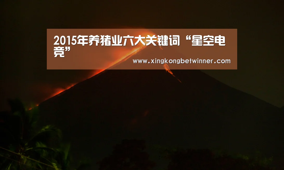 星空下载