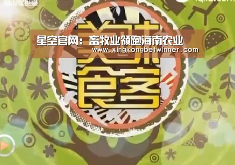 星空下载