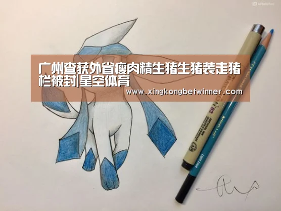 星空官网