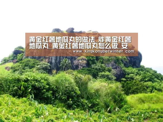 黄金红薯地瓜丸的做法_炸黄金红薯地瓜丸_黄金红薯地瓜丸怎么做_安妮幽子_b6NG的菜谱“星空电竞”(图1) 星空电竞